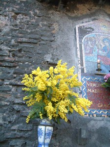 写真3枚は、2006年3月8日、ローマにて筆者写す