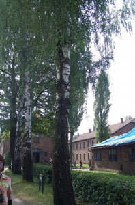 あれから７０年の間に