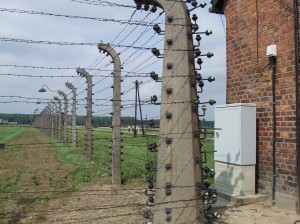 d29b34b37982074ce3c7637e883c84e0